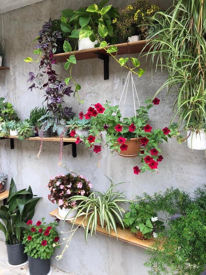 House Of Greenery Кутаїсі Екстер'єр фото