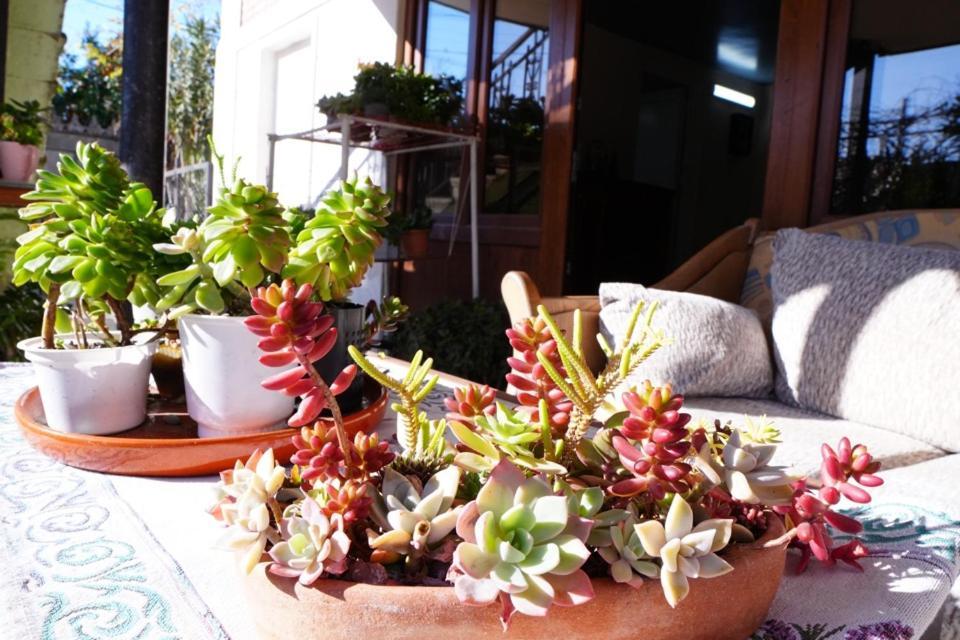 House Of Greenery Кутаїсі Екстер'єр фото